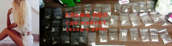 стафф Дмитриев