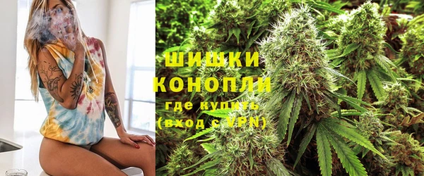стафф Дмитриев