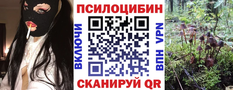Галлюциногенные грибы Psilocybine cubensis Озёрск